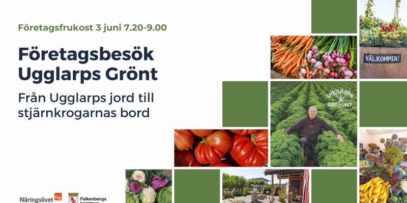 Företagsfrukost: Företagsbesök på Ugglarps Grönt
