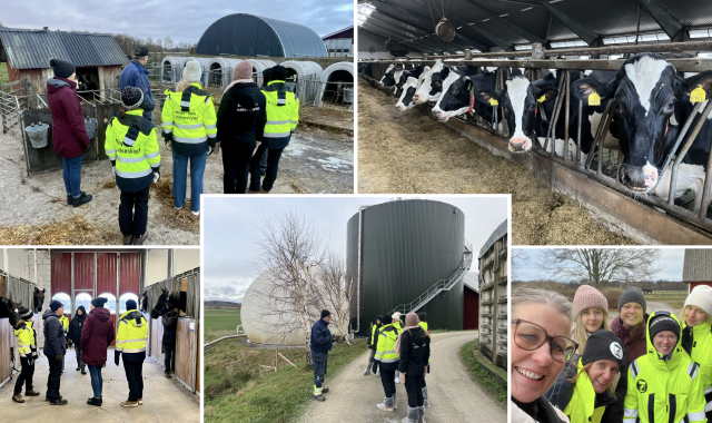 Företagsbesök stärker dialogen mellan kommun och lantbruk