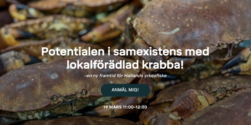 Webbinar: Potentialen i samexistens med lokalförädlad krabba