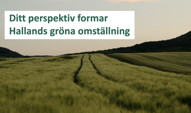 Företagsenkät: Ditt perspektiv formar Hallands gröna omställning